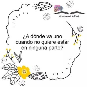 Meet your Posher, Ana